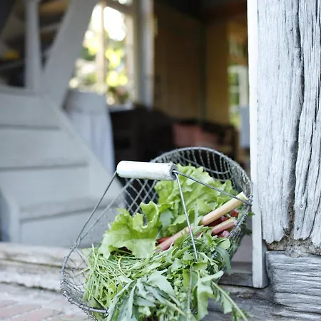 Bauernkate Apartment