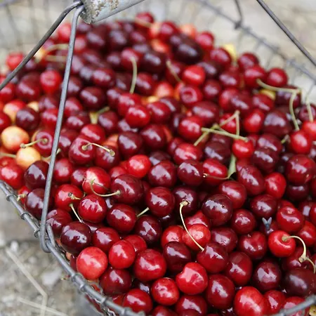 Bauernkate Apartment *