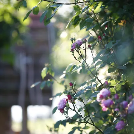 Bauernkate 公寓 Klein Thurow