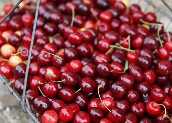 Bauernkate Апартаменты *